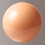 Apricot Color