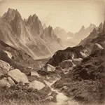 Albumen Print