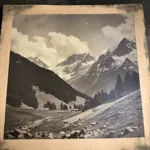 Calotype