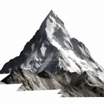 Photosculpture