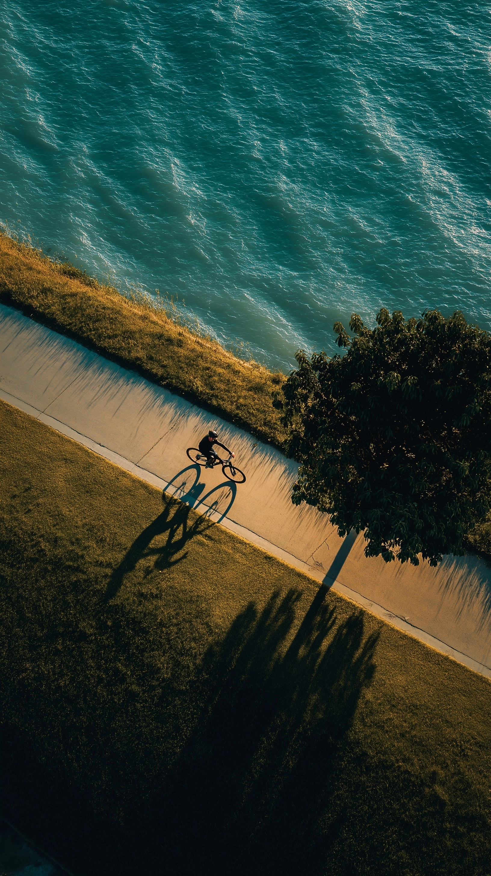 Two friends set out on a ride on a single bike. At first