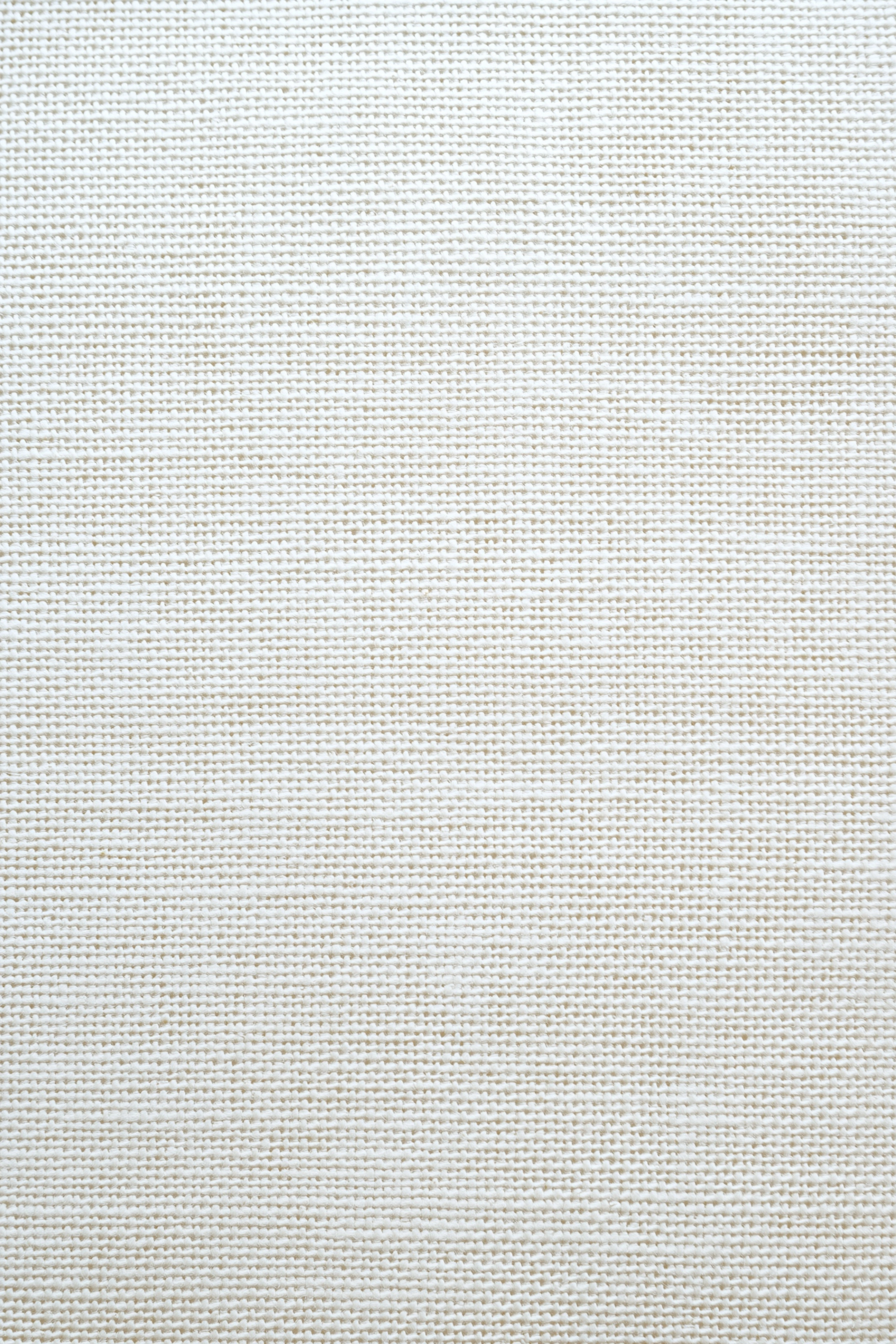 Clean blank canvass texture on white