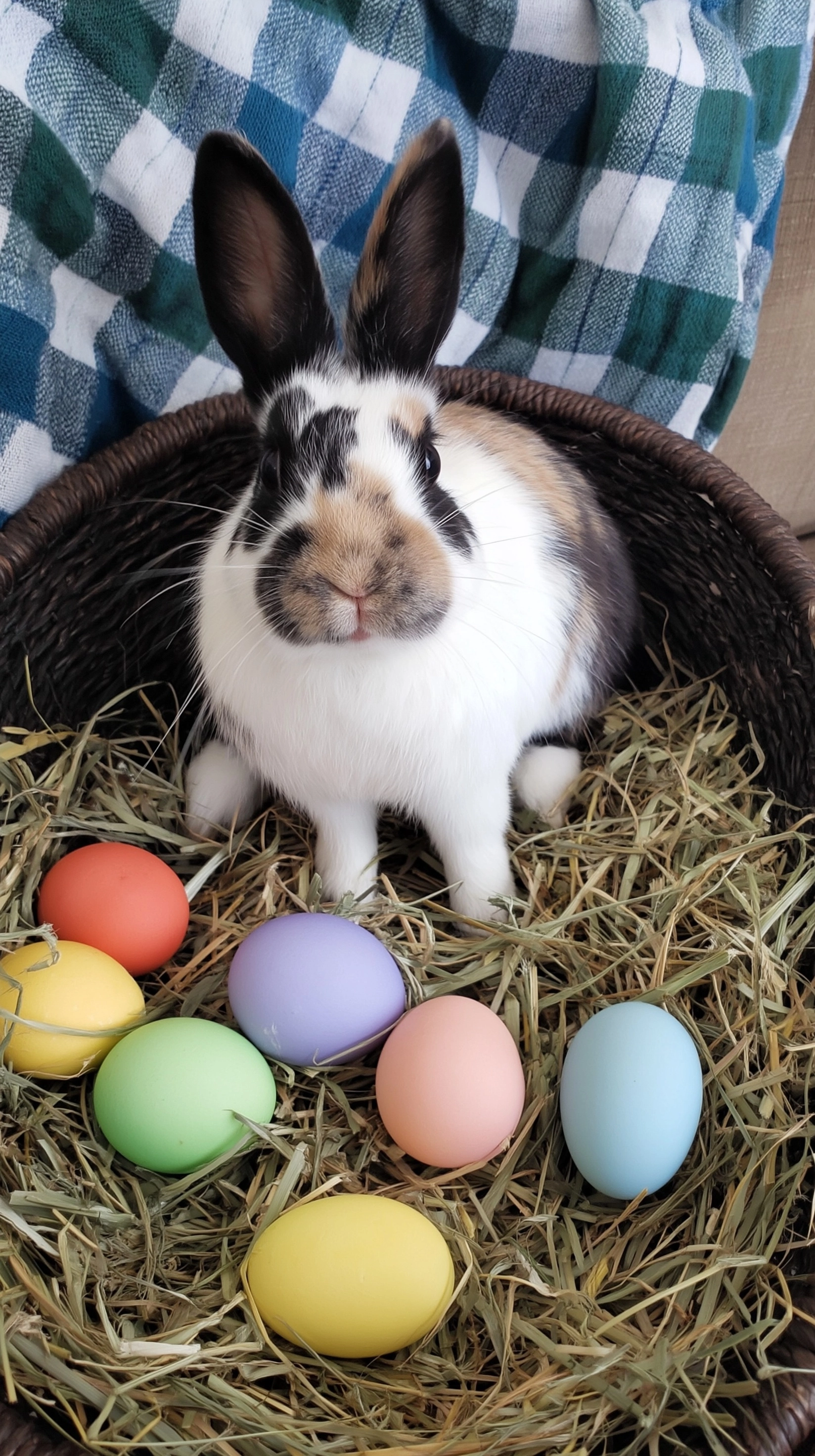 Aesthetically correct Easter