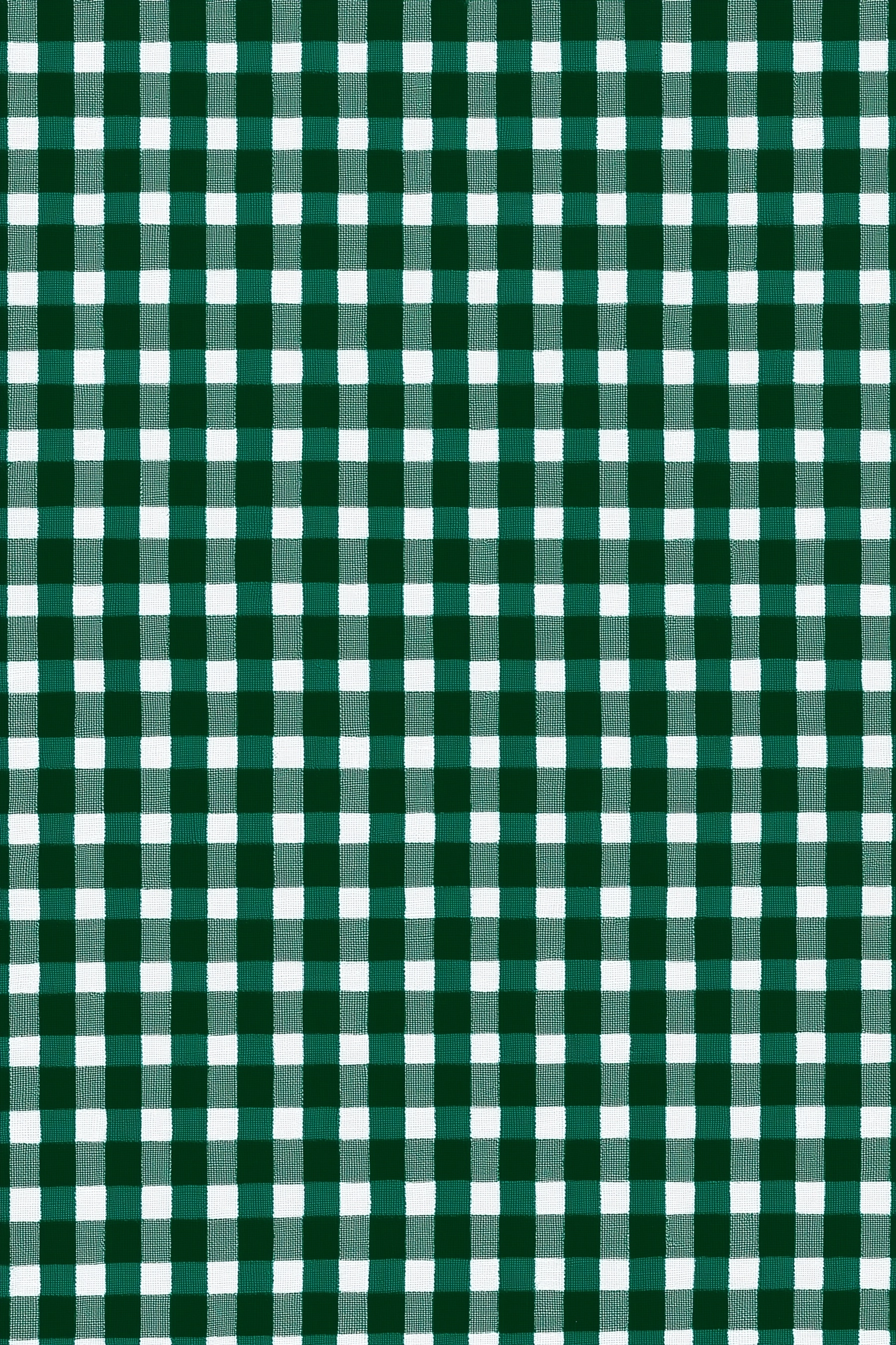Book cover, back page, dark emerald green, gingham, pattern, vintage, crisp color tones.