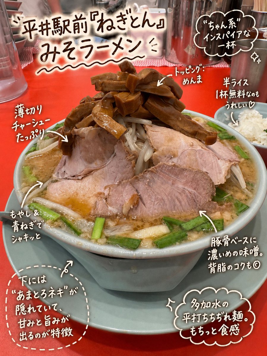 Annotated Japanese Miso Ramen Photo