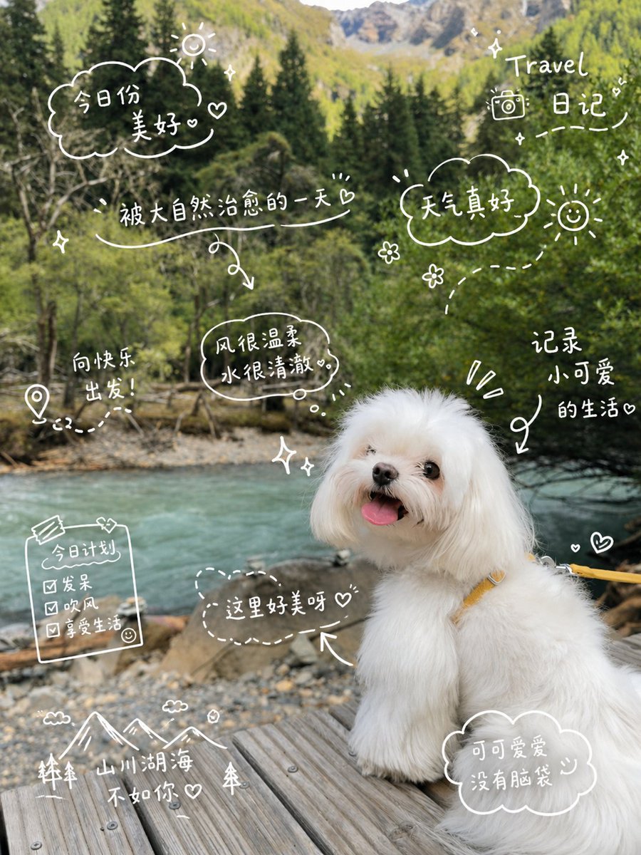 Cute Dog Travel Diary Doodles