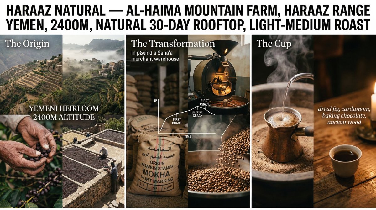 Coffee's Journey Board prompt for Nano Banana 2