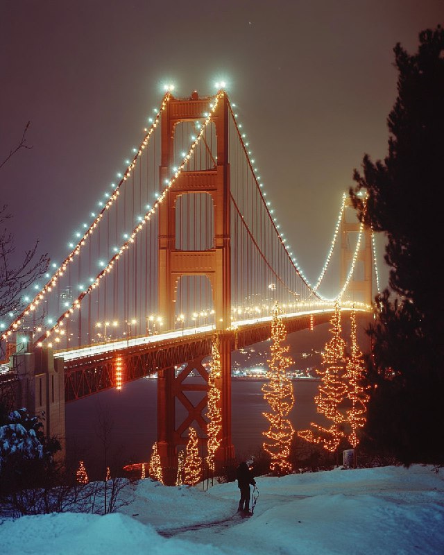 Golden Gate Bridge Christmas Lights