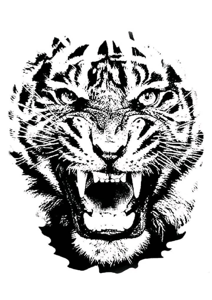 SVG: Tiger