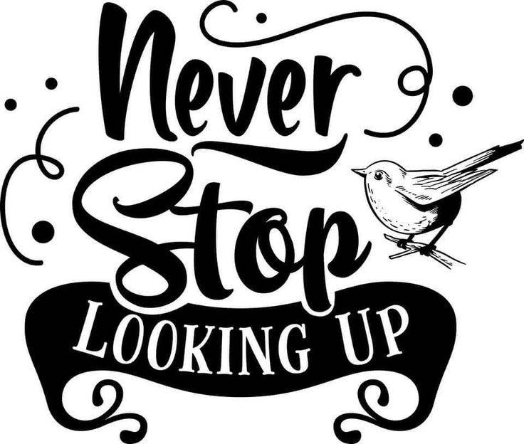 SVG: Never Stop