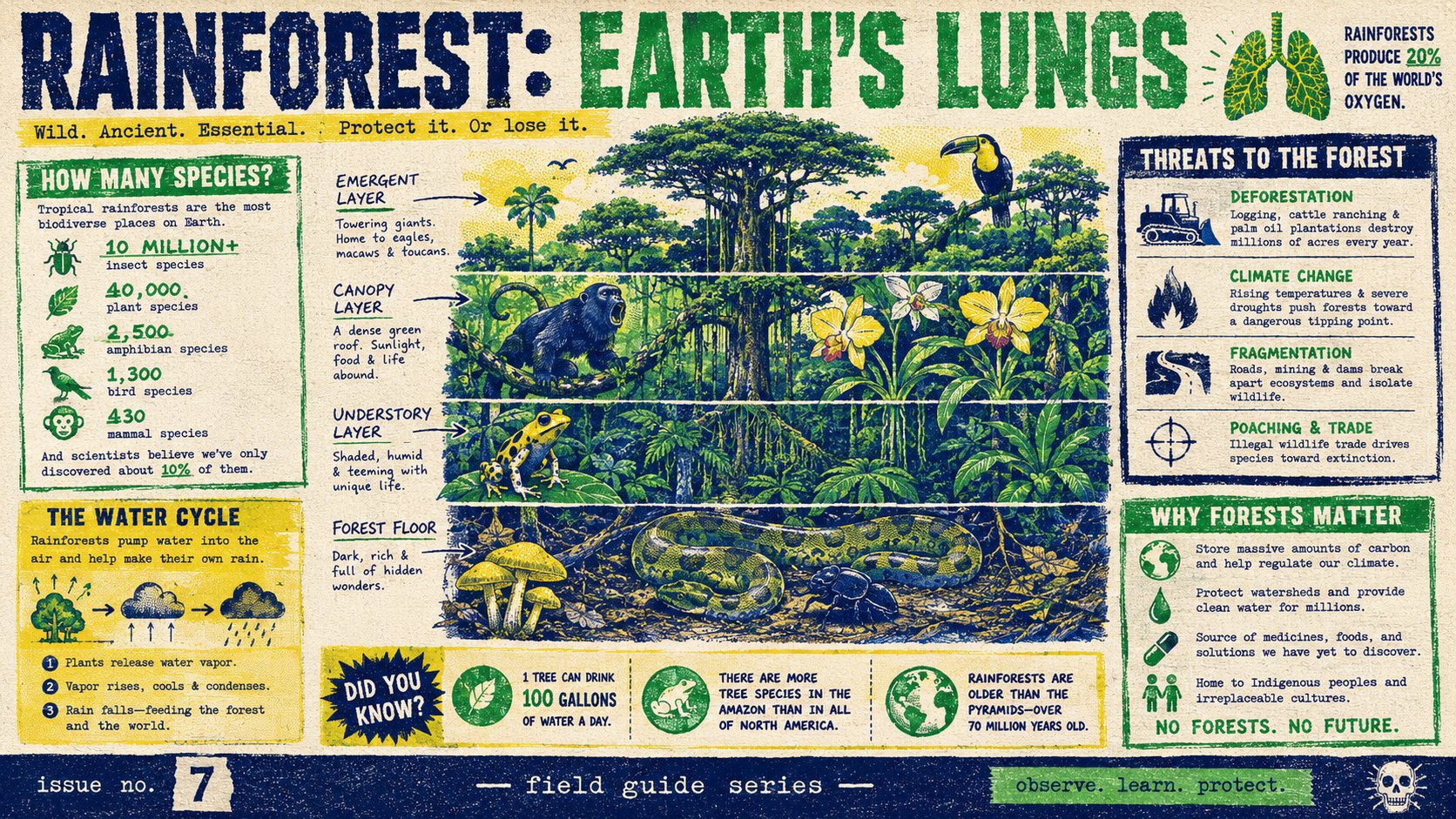 Risograph Zine Rainforest Infographic