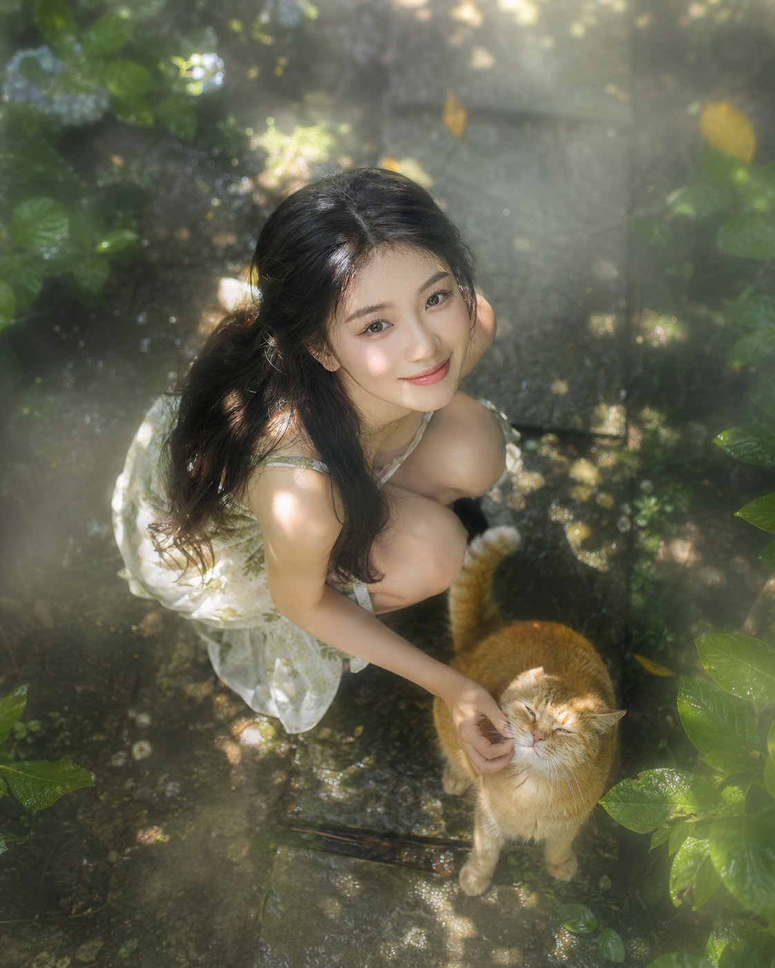 Dappled Sunlight Courtyard Overhead Cat Portrait