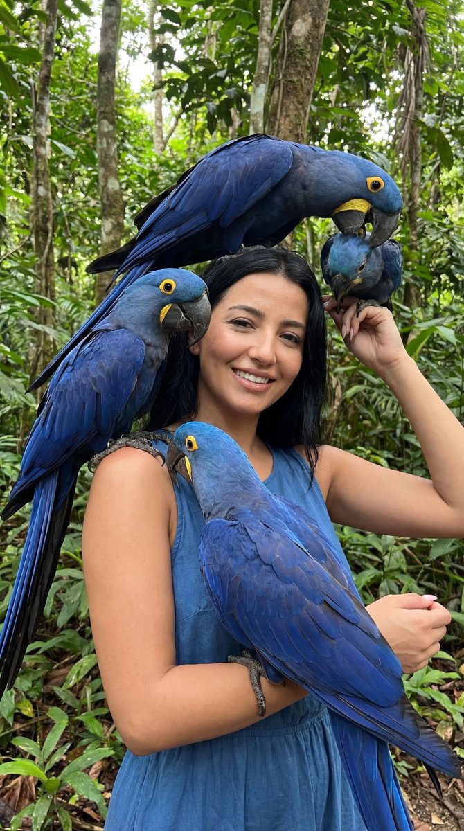 Exotic Blue Macaws Fashion Editorial