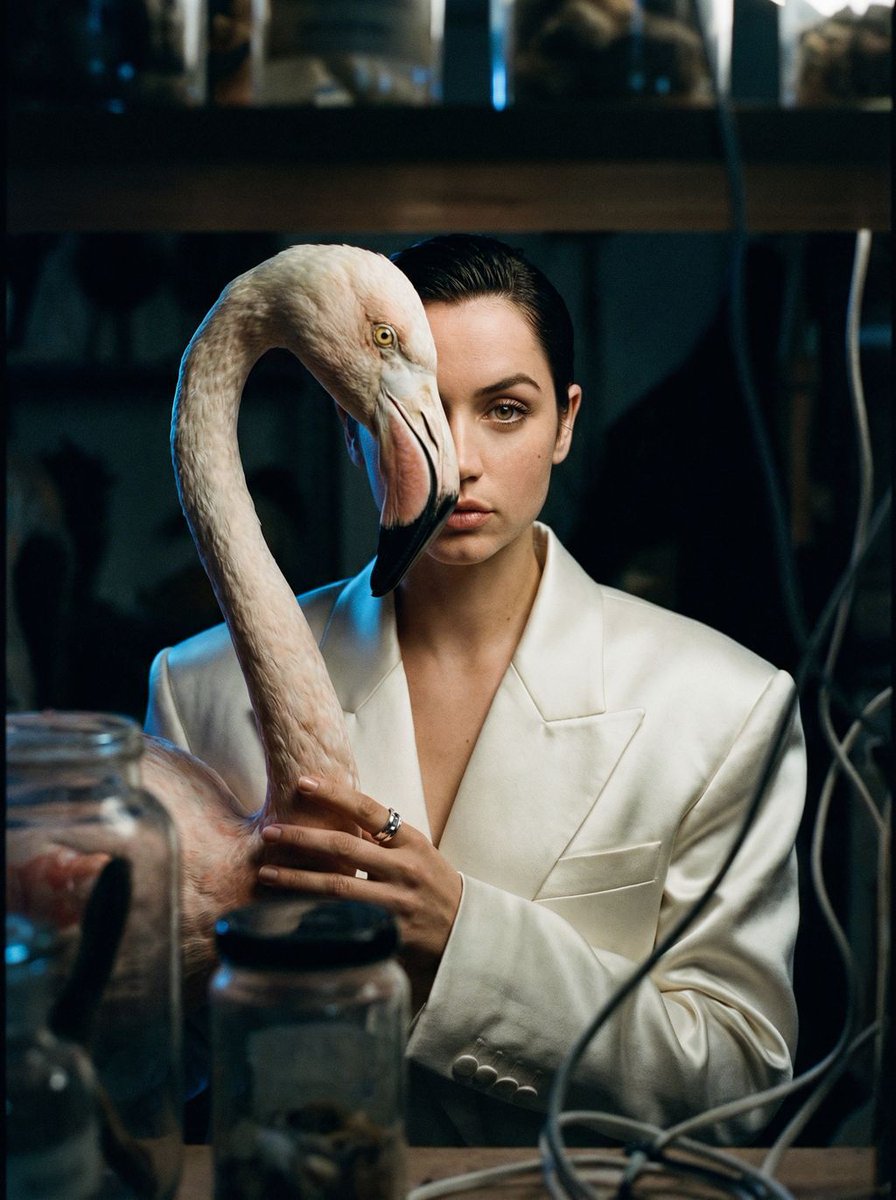Surreal Flamingo Fashion Portrait