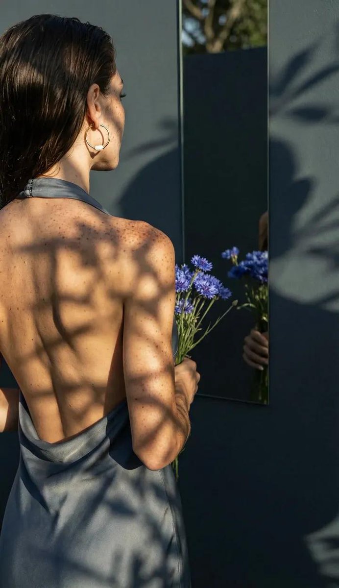 Silk Shadows in Sunlight