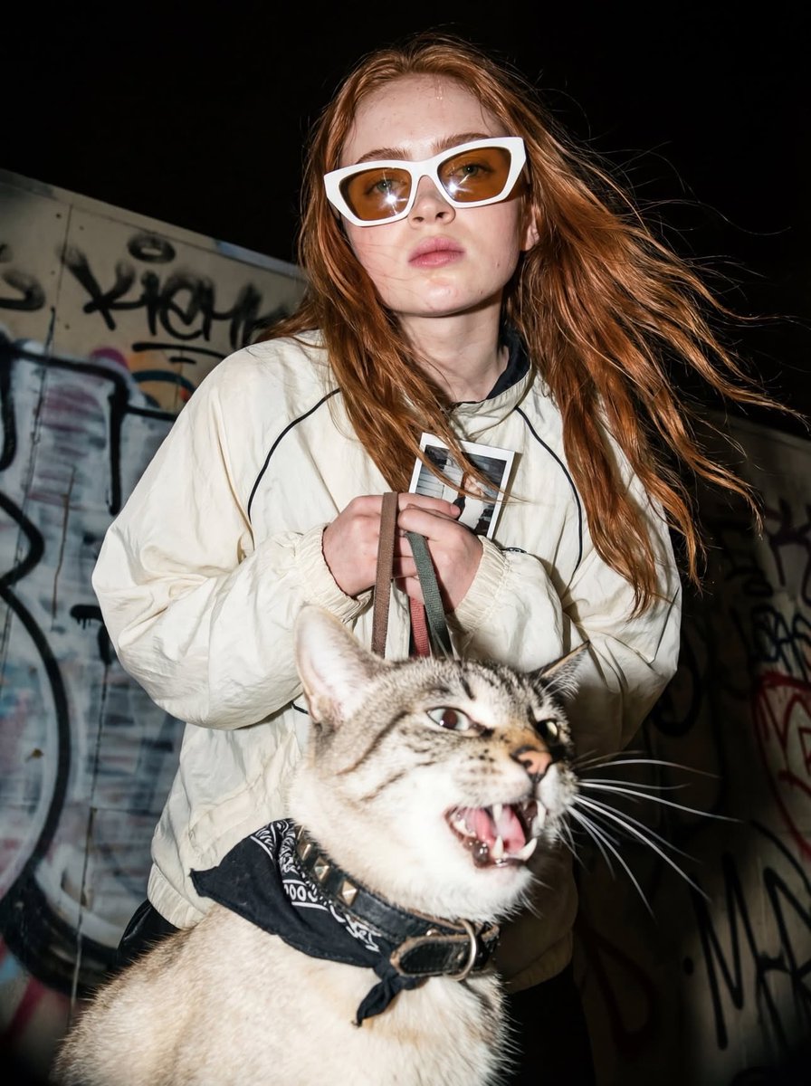 Night Street Cat Flash