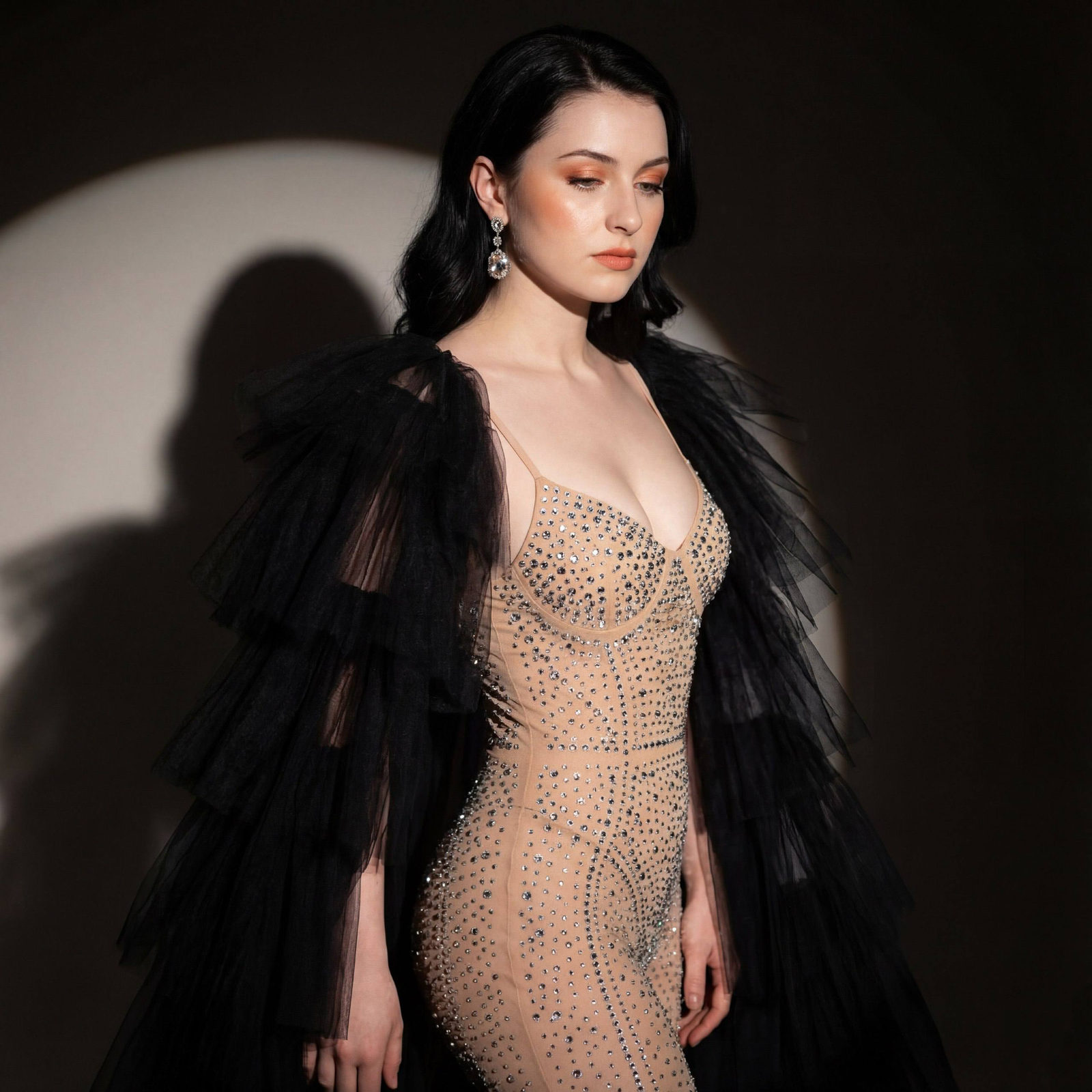 Luxurious Theatrical Portrait Glamour