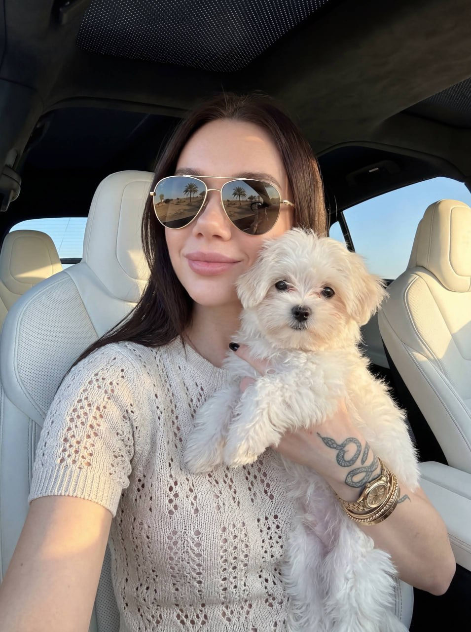 Glamorous Woman with Fluffy Dog in Luxury Car