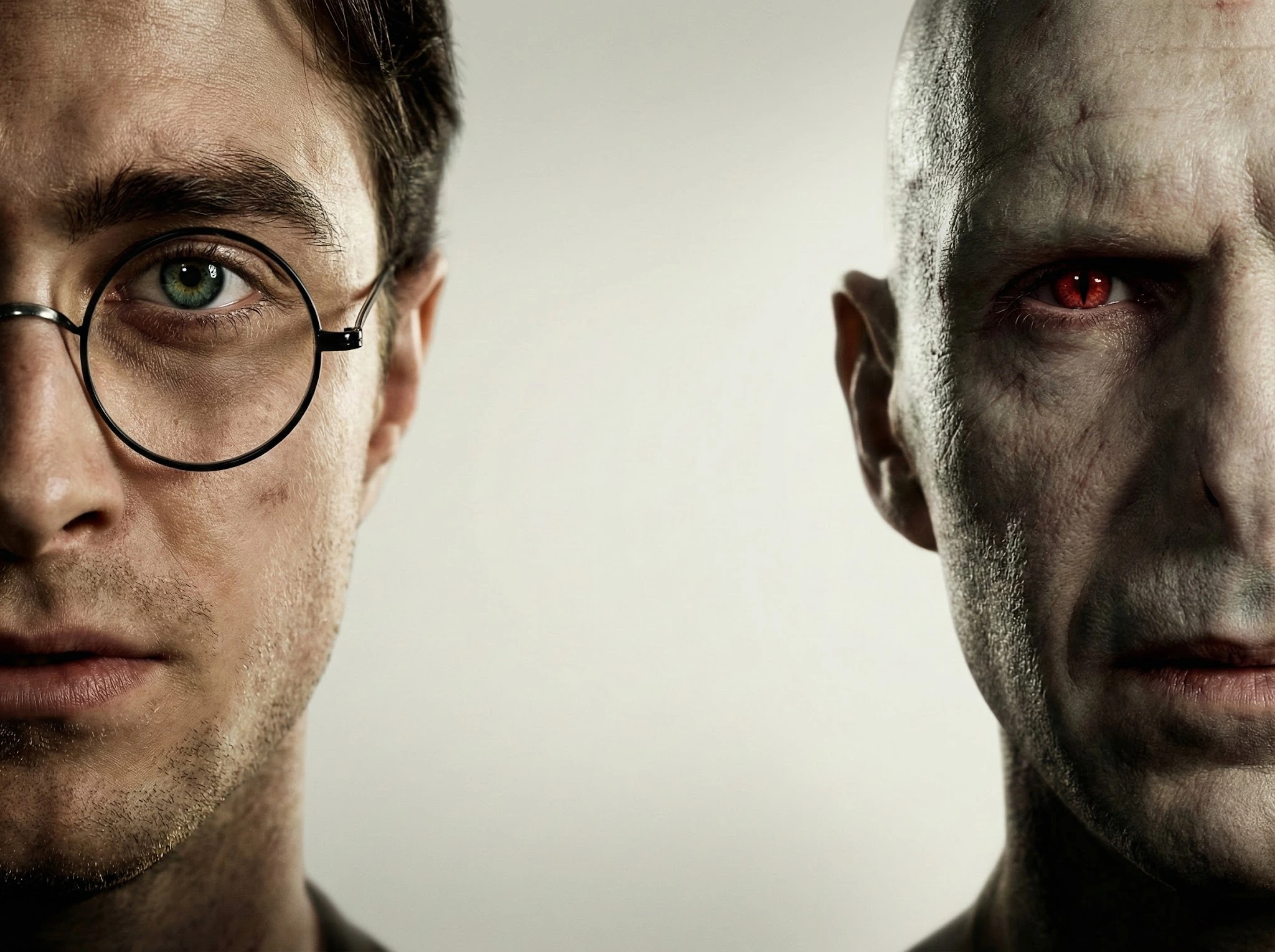 Poster of harry portter and voldemort