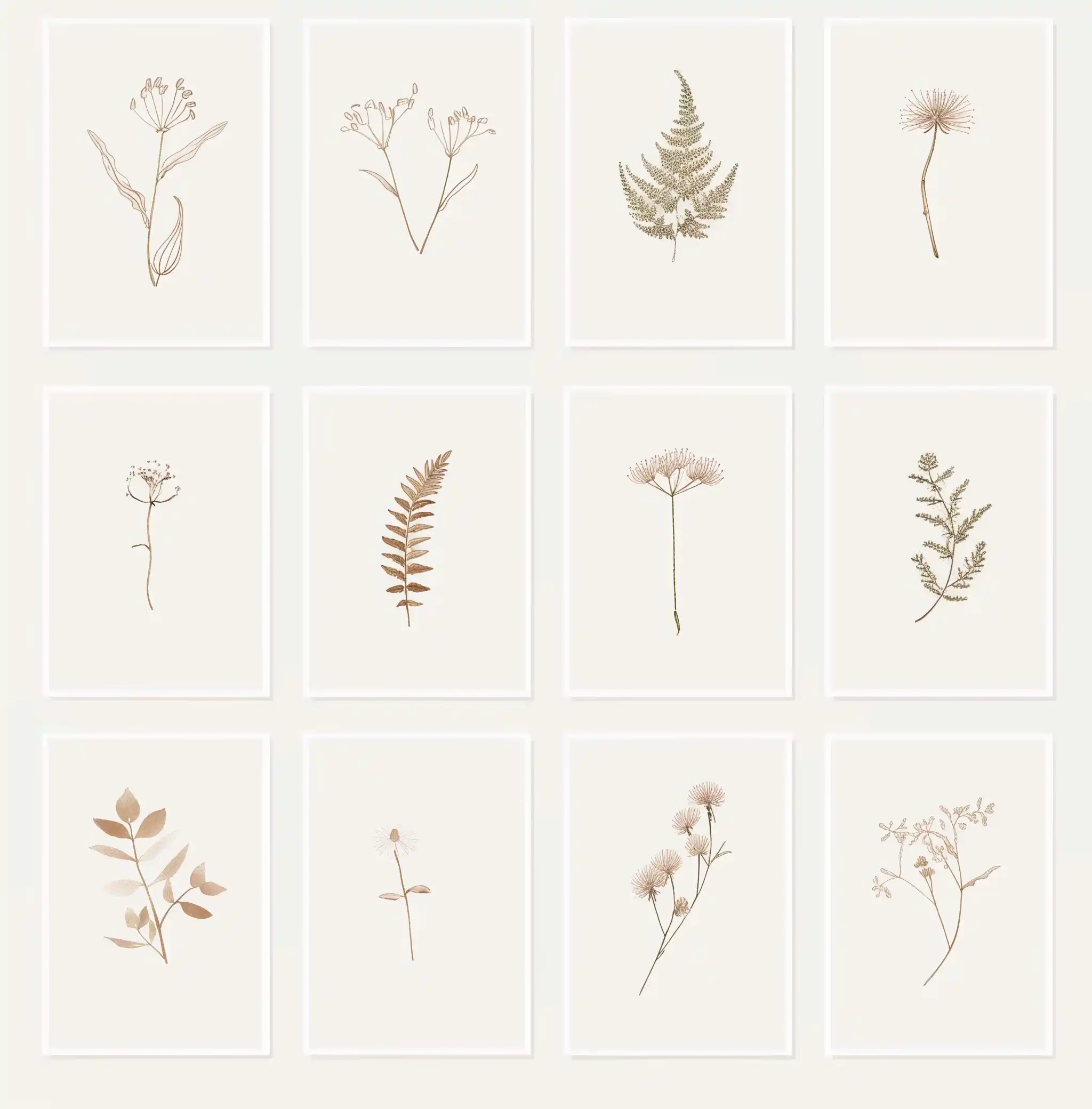 Minimalist Wildflower Cards