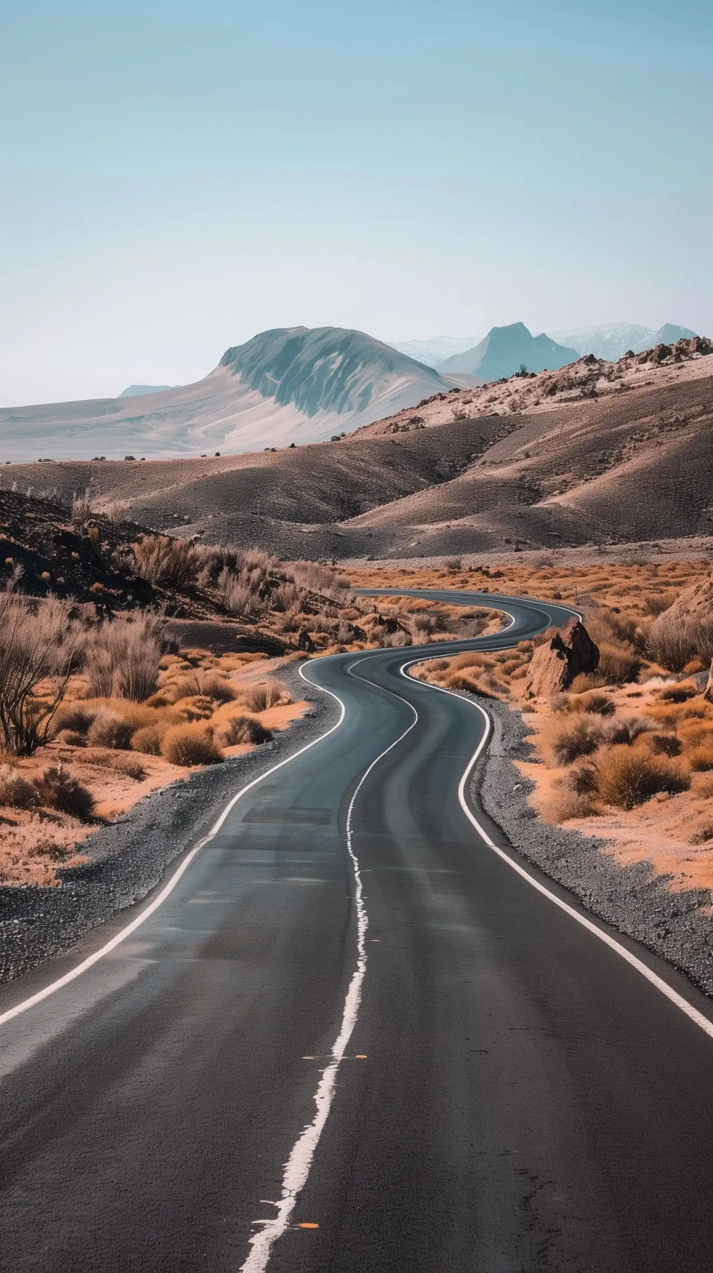 Raw Desert Road to Mountains