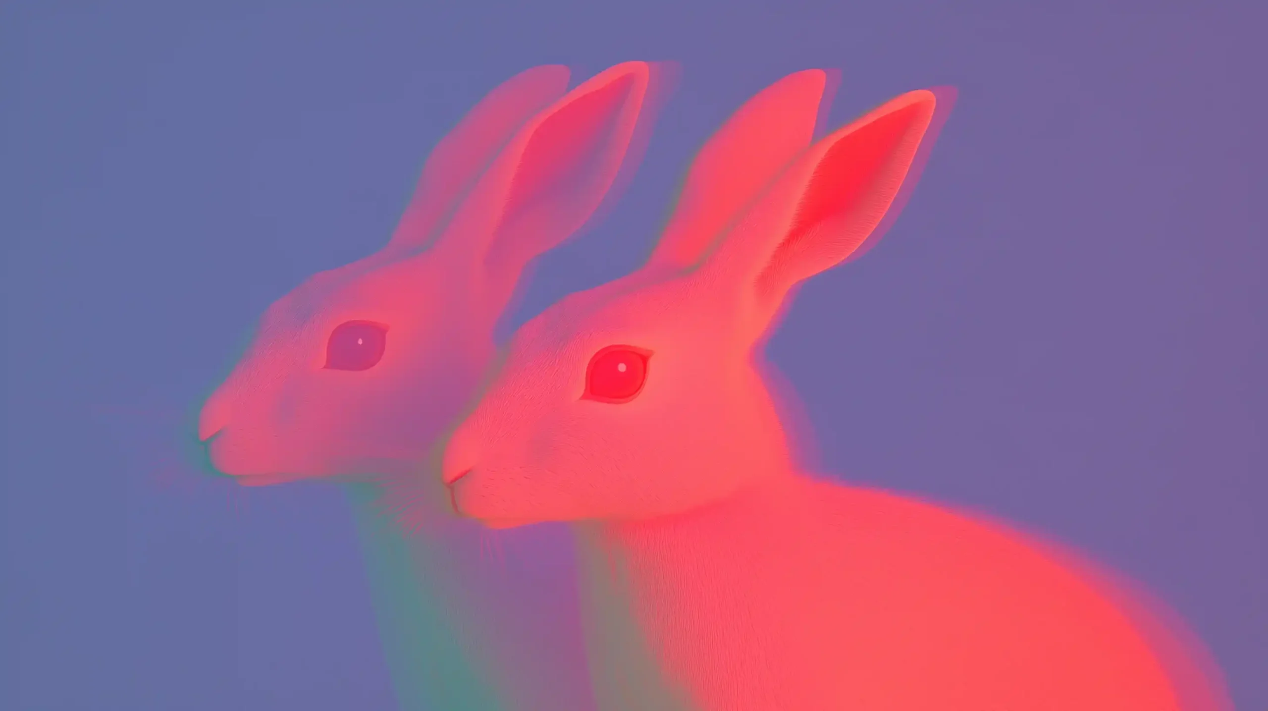Psychedelic Bunnies in Chaos