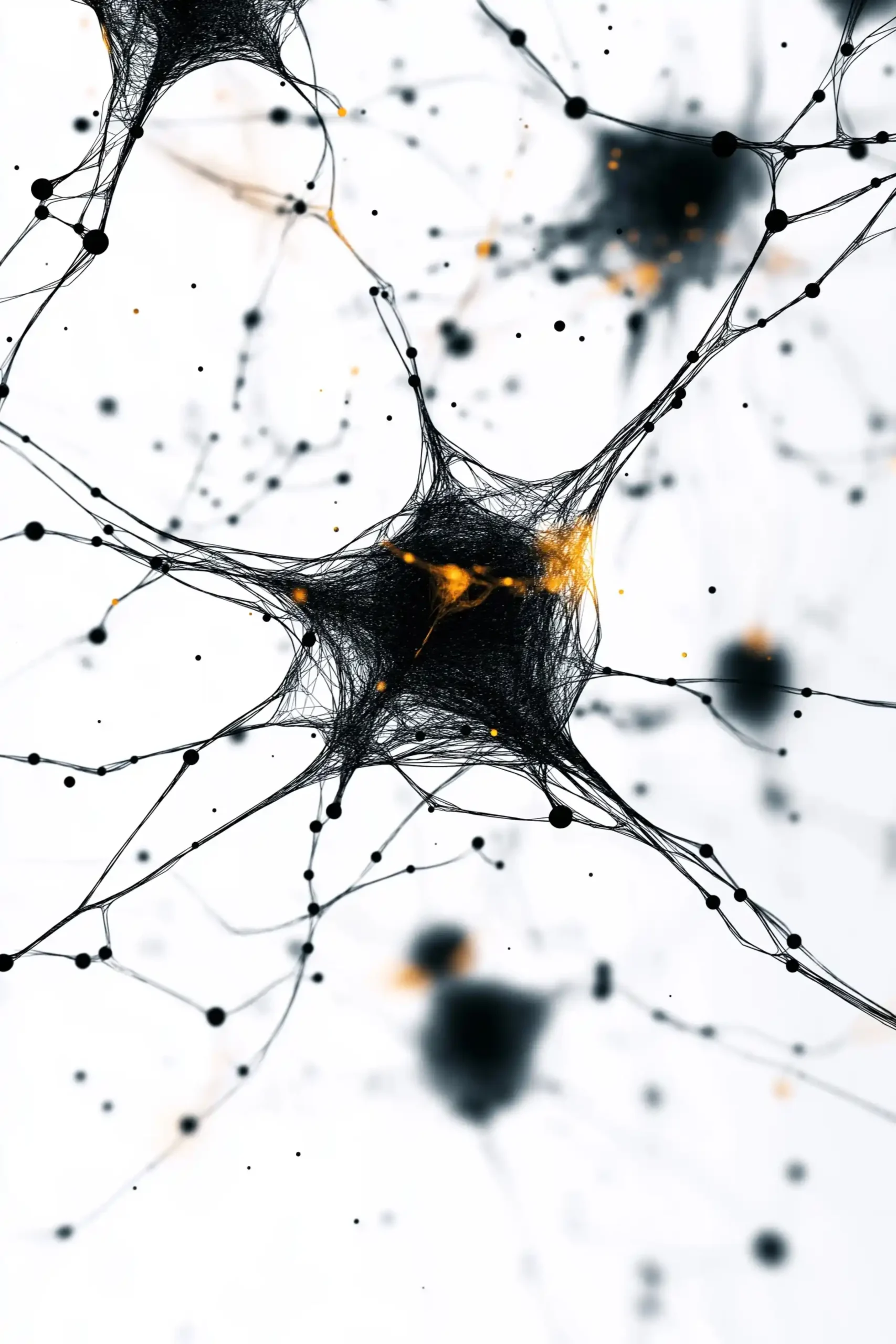 Neural Networks in Motion
