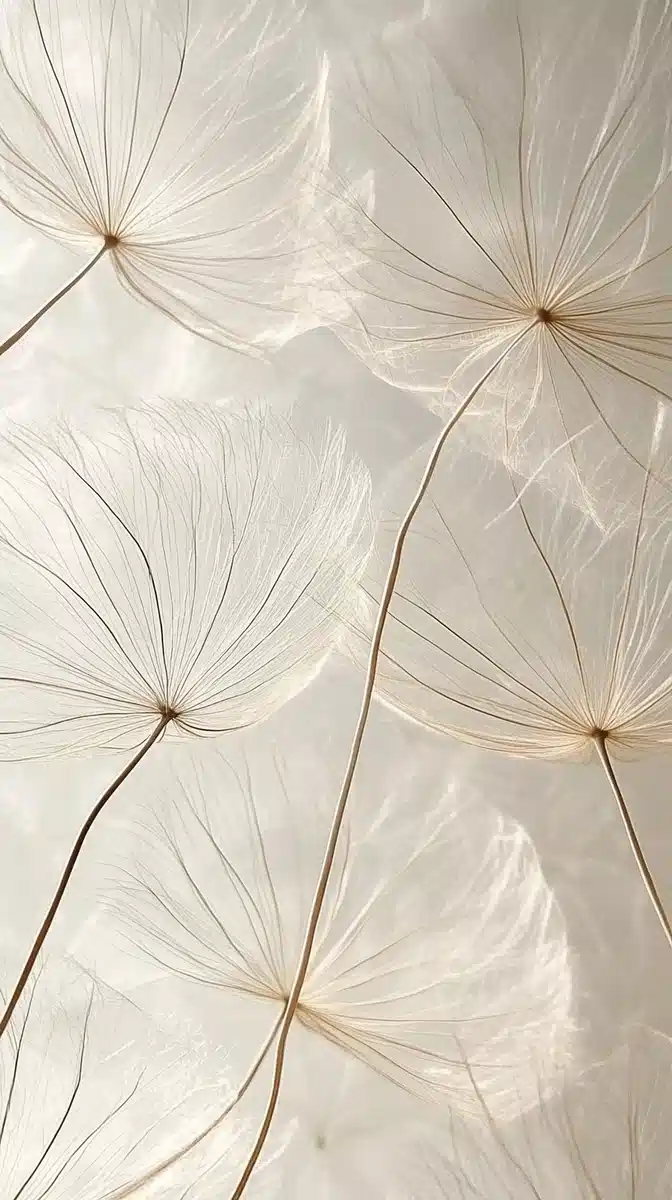 Delicate Dandelion Seeds Close-Up