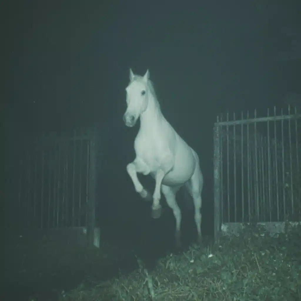 Cinematic White Horse Leap