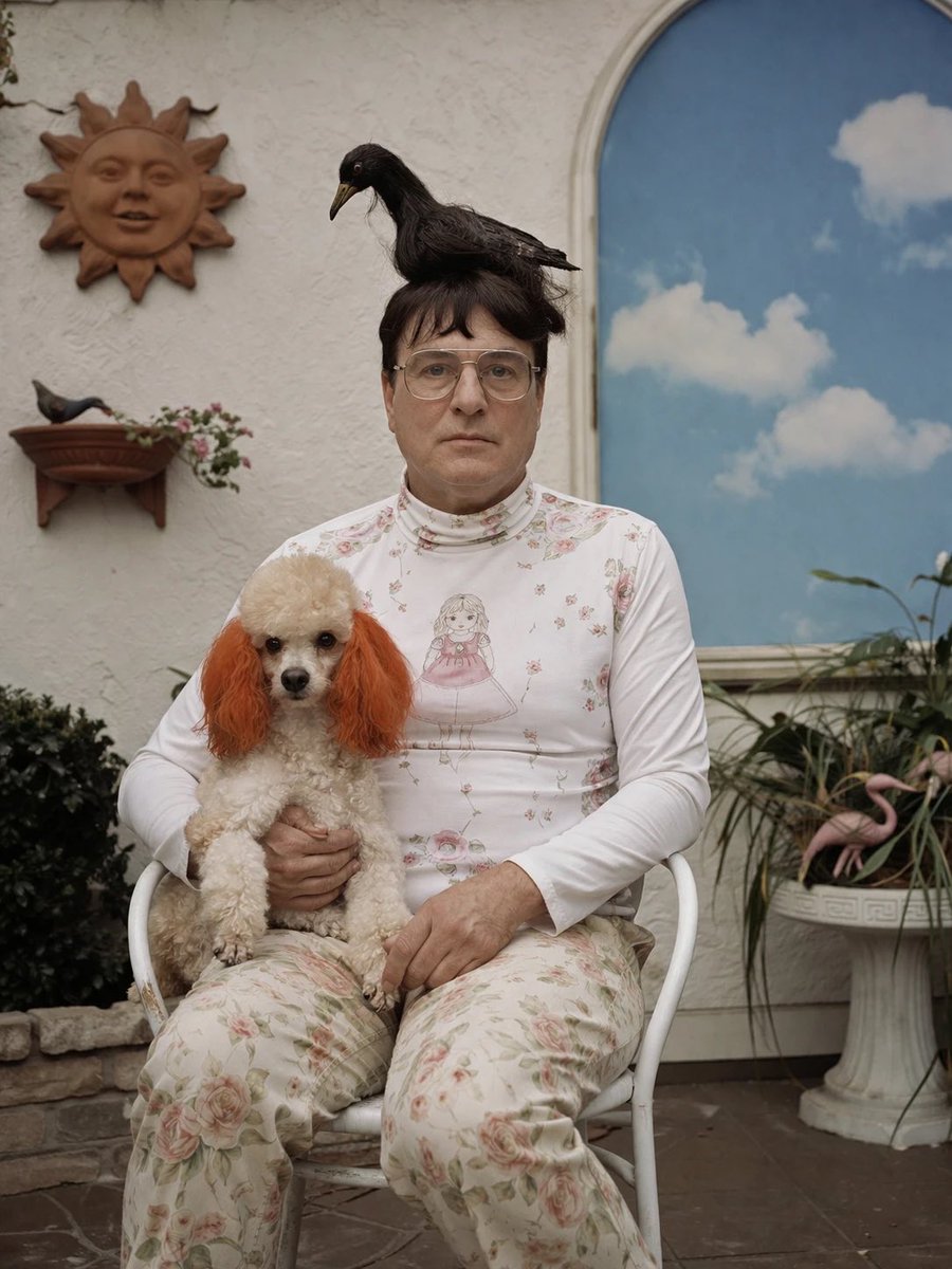 Crow on Bun: Quiet Surreal Portrait