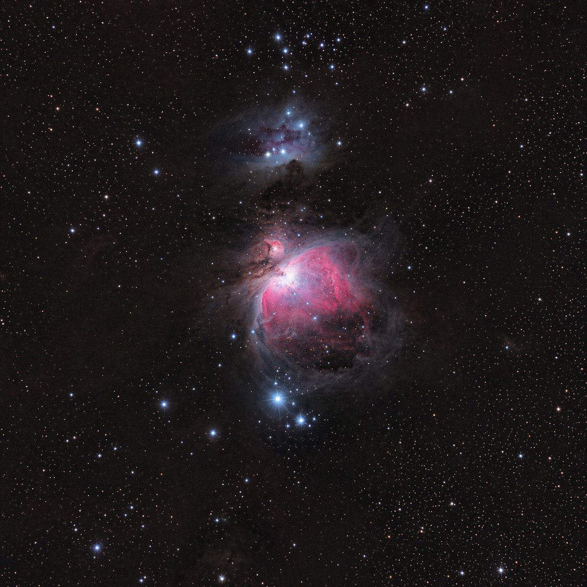 Stunning Orion Nebula Portrait