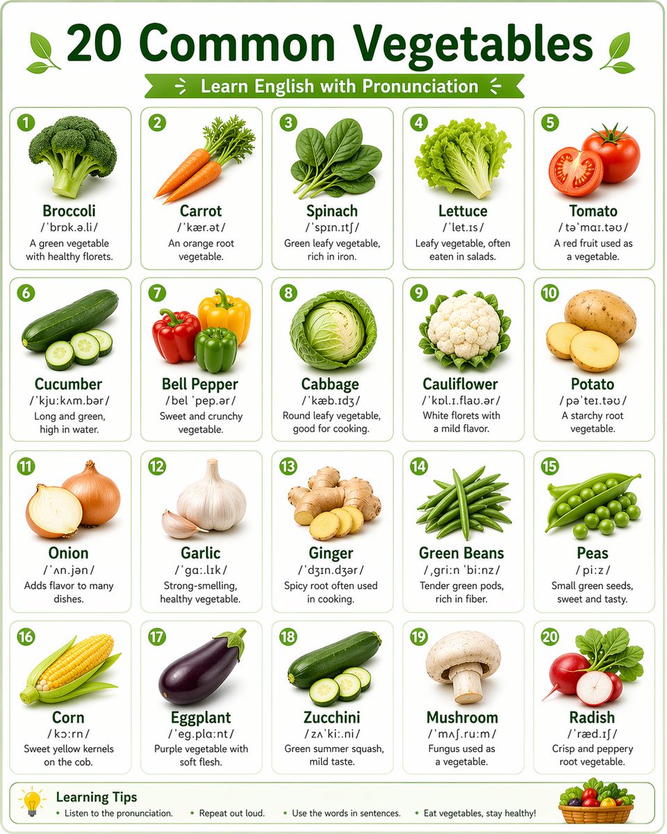 20 Vegetables English Visual Guide