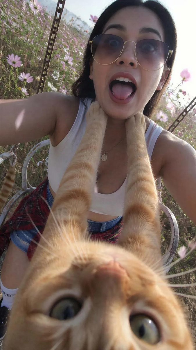 Upside Down Orange Cat Funny Selfie