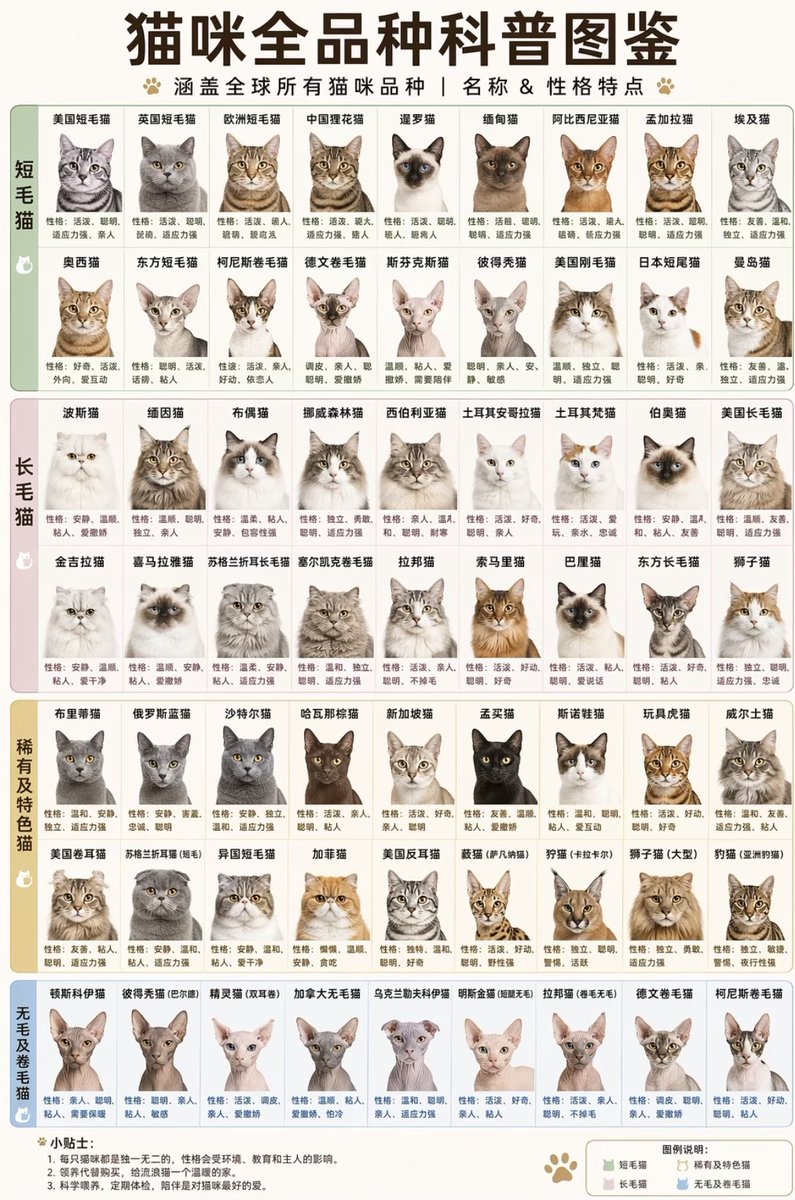 Cat Breed Encyclopedia Guide