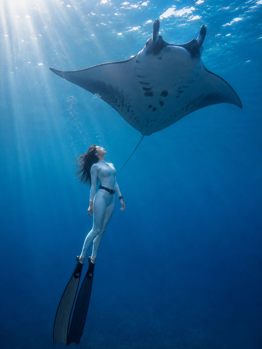 Dreamy Freediving Ocean Portraits