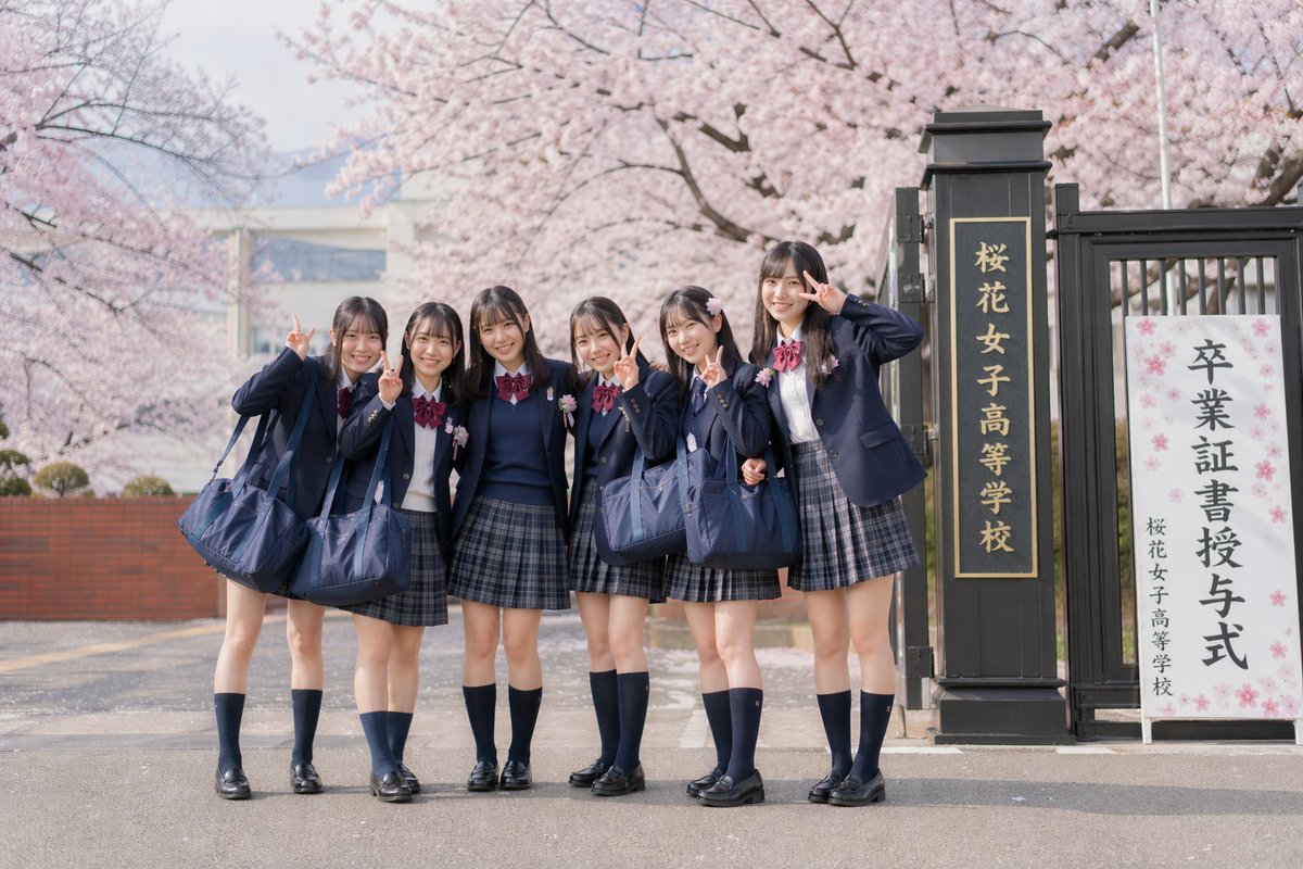 Japanese Graduation Day Cherry Blossoms