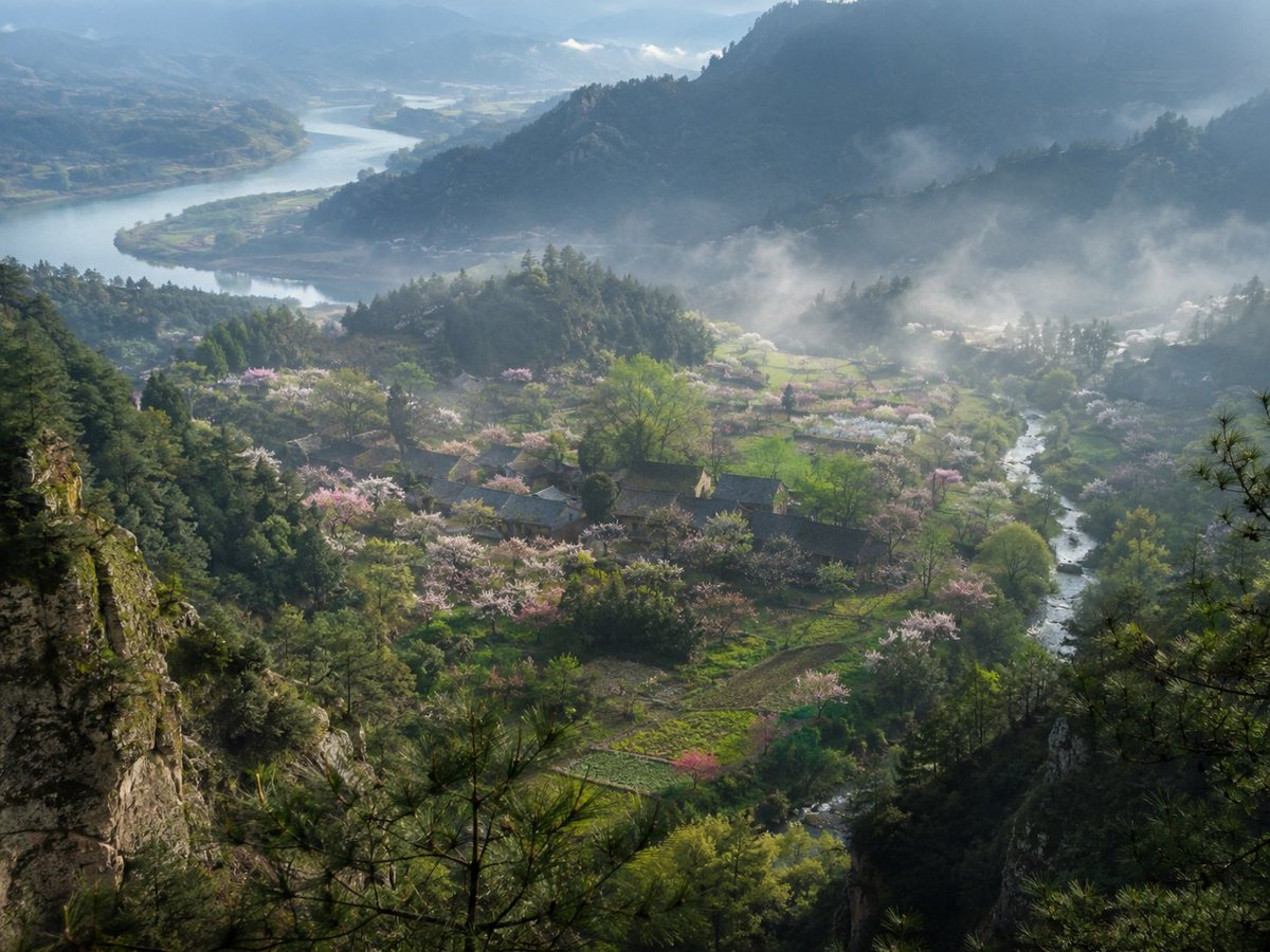 Misty Peach Valley Dawn