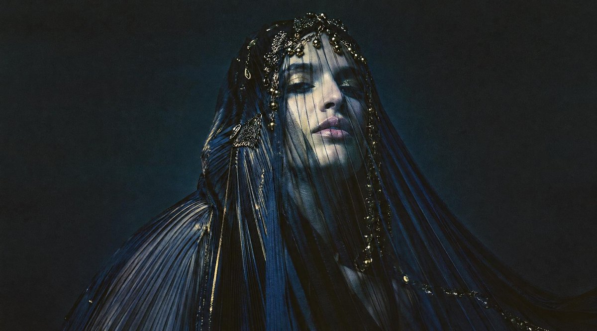 Dark Gothic Veiled Portrait