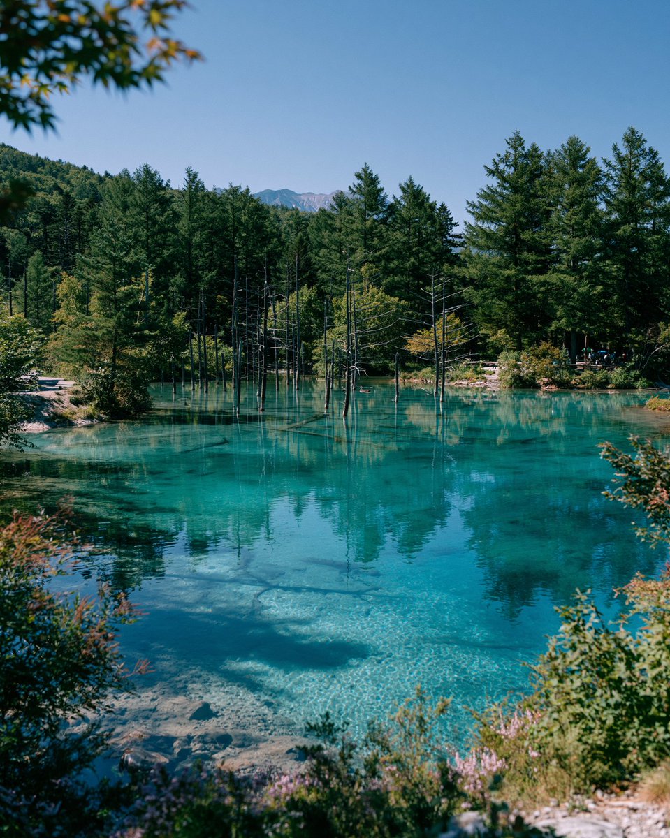 Serene Turquoise Alpine Pond Reflections