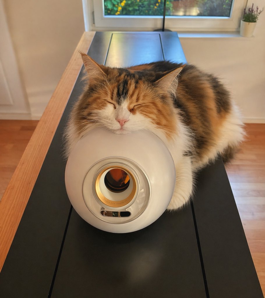 Sleeping Calico Cat On Appliance