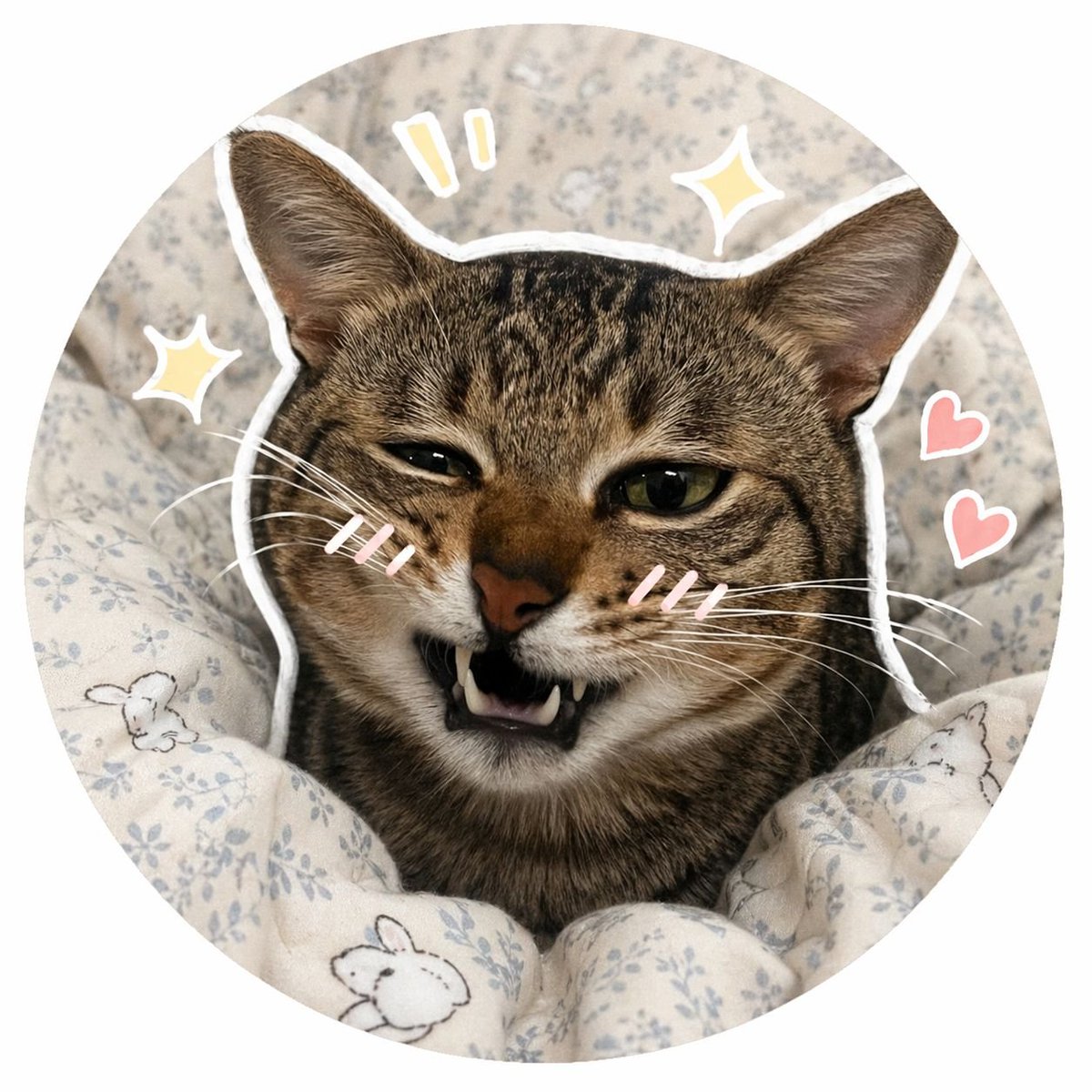 Trendy Cat Avatar for Social Media