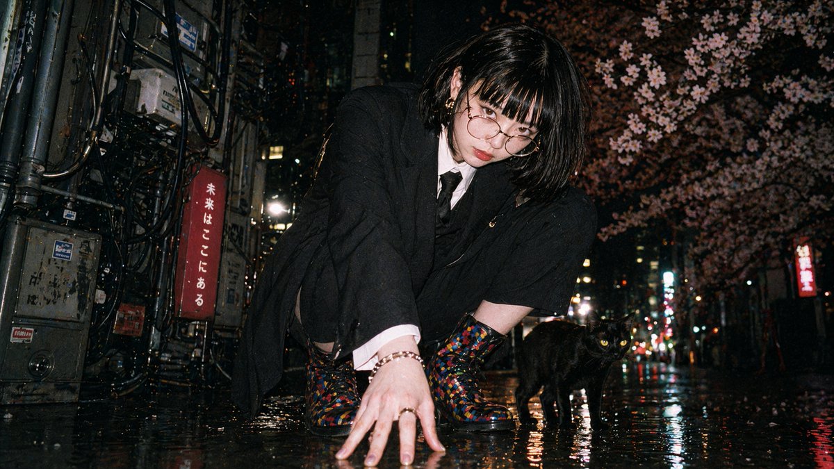 Tokyo Alley Cat Night Flash
