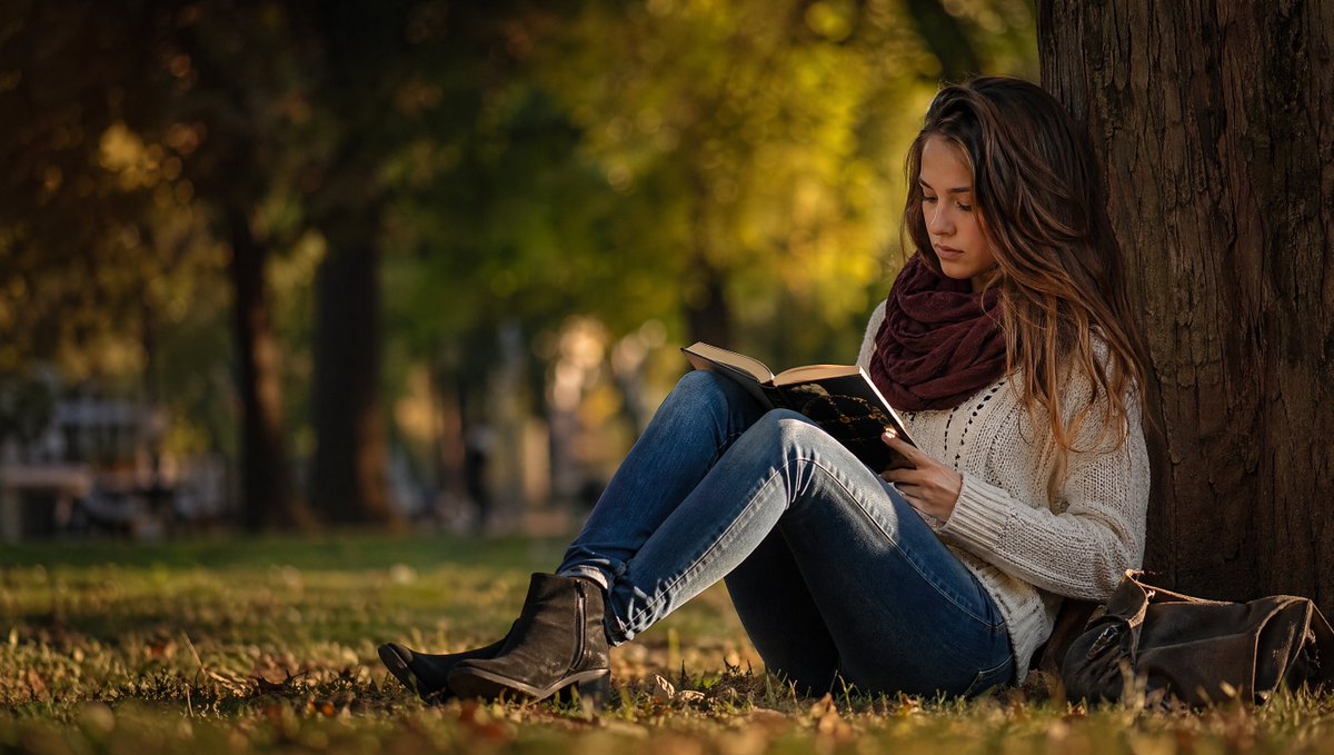 Cozy Autumn Reading Under Tree