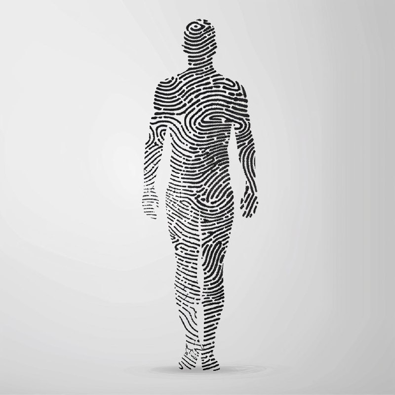 Fingerprint Pattern Human Body Black and White Vector