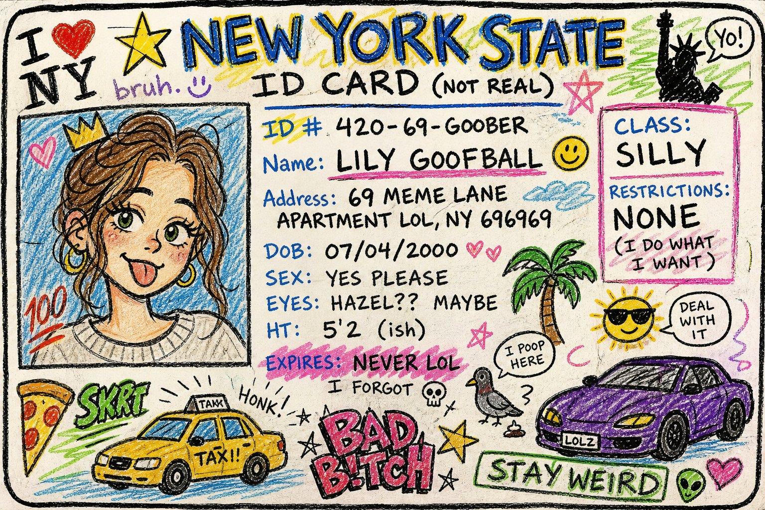 Messy Cartoon NY ID Card