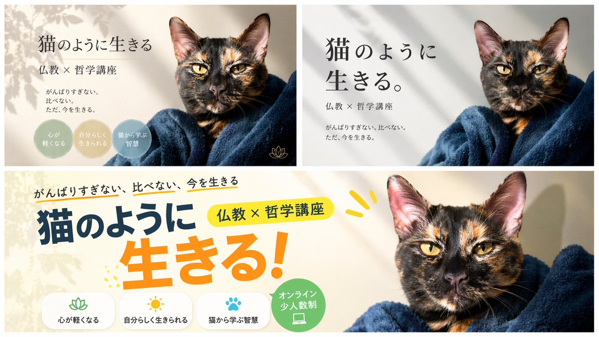 Live Like a Cat Philosophy