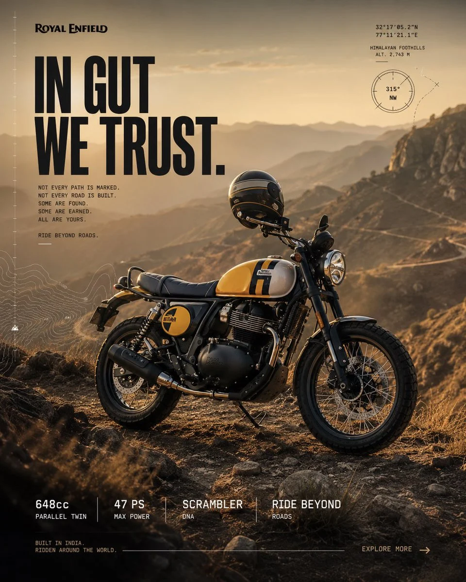 In Gut We Trust: Bear 650
