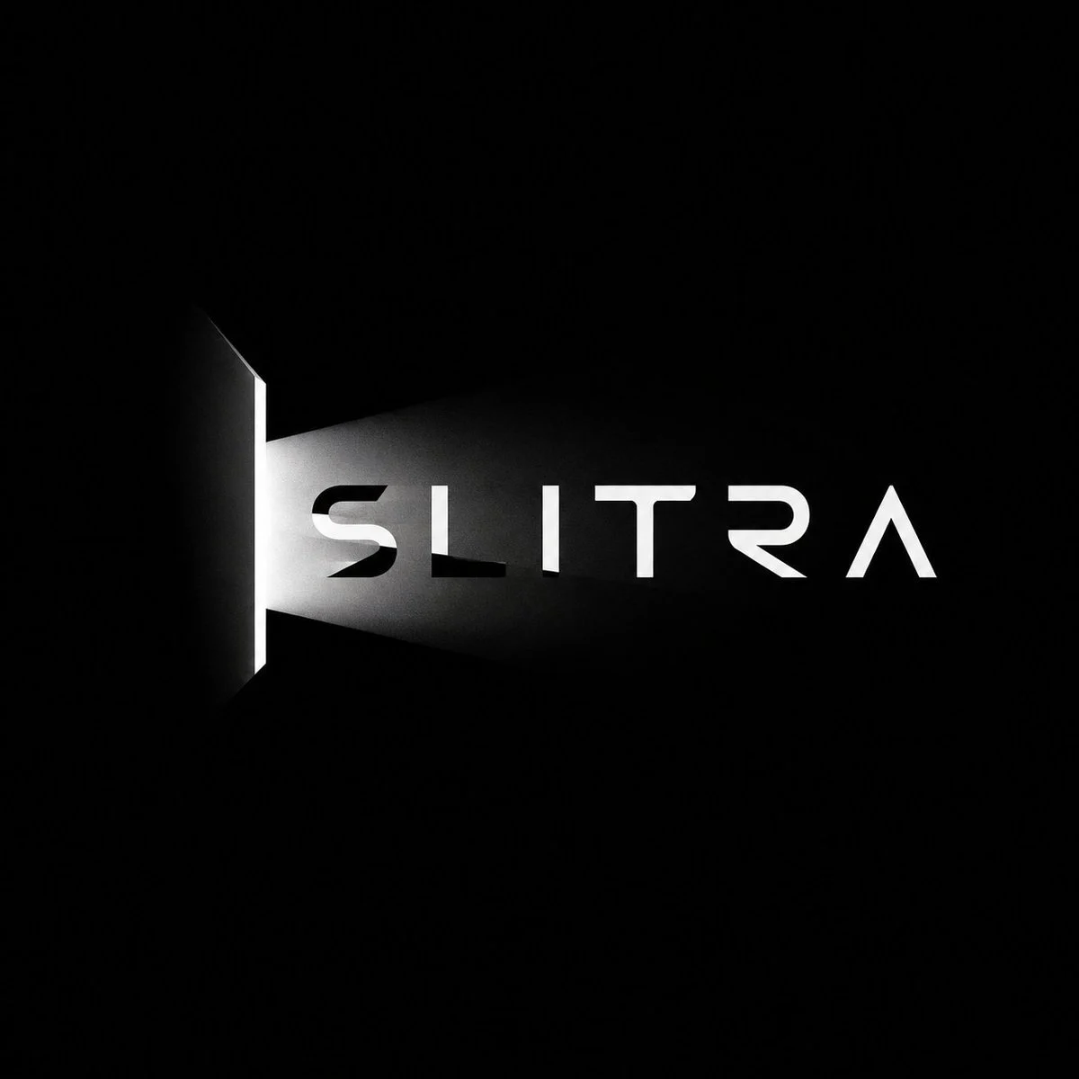 Premium Black White Optical Logo Design