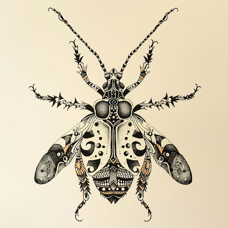 Hand Drawn Zentangle Bug With Geometric Line Details