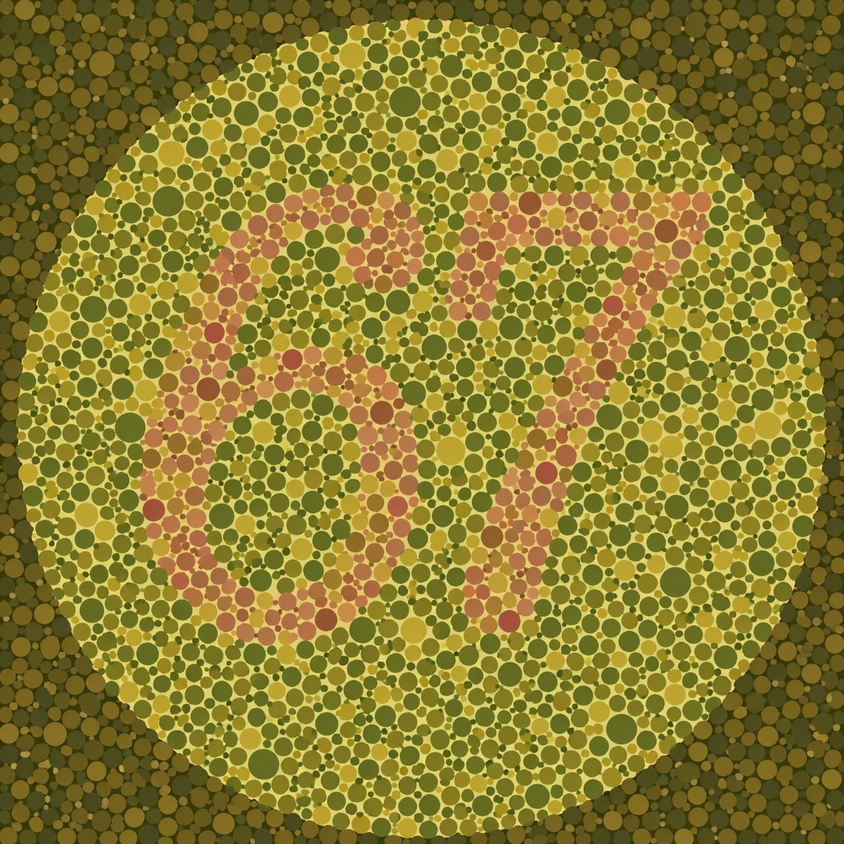 Ishihara Color Blindness Test Revealed